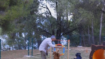 Explore the outdoor play area, featuring a bench and climbing structure amidst a serene natural setting.