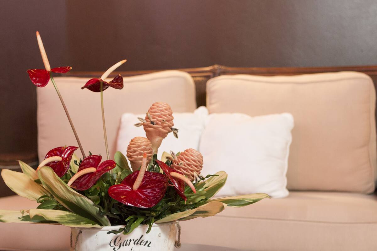 couples treatment room(s), hydrotherapy, aromatherapy, body wraps