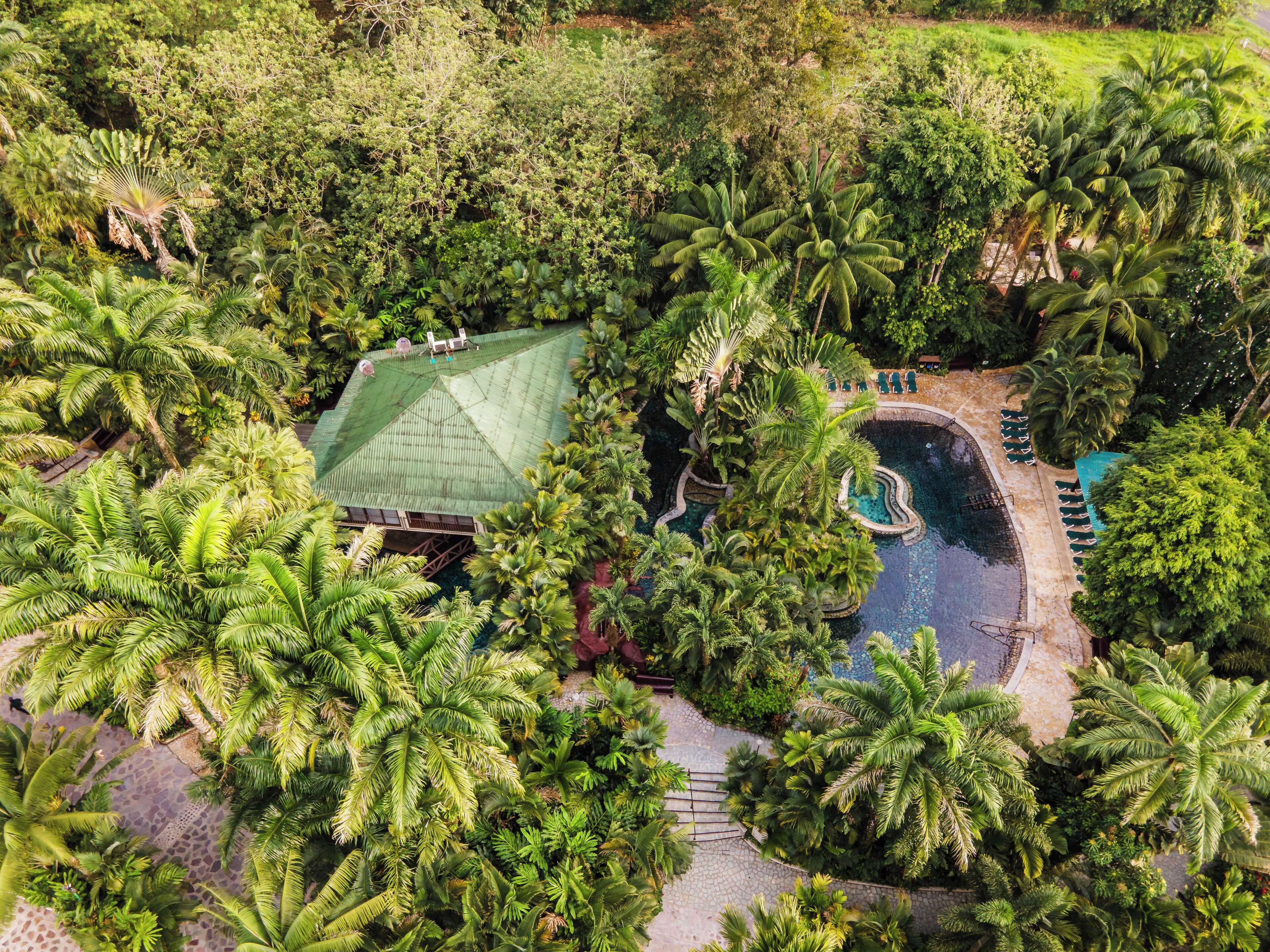 An aerial view of a resort with a swimming pool surrounded by palm trees and a covered area with lounge chairs.