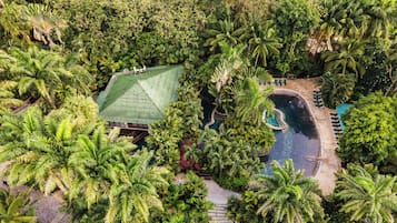 An aerial view of a resort with a swimming pool surrounded by palm trees and a covered area with lounge chairs.
