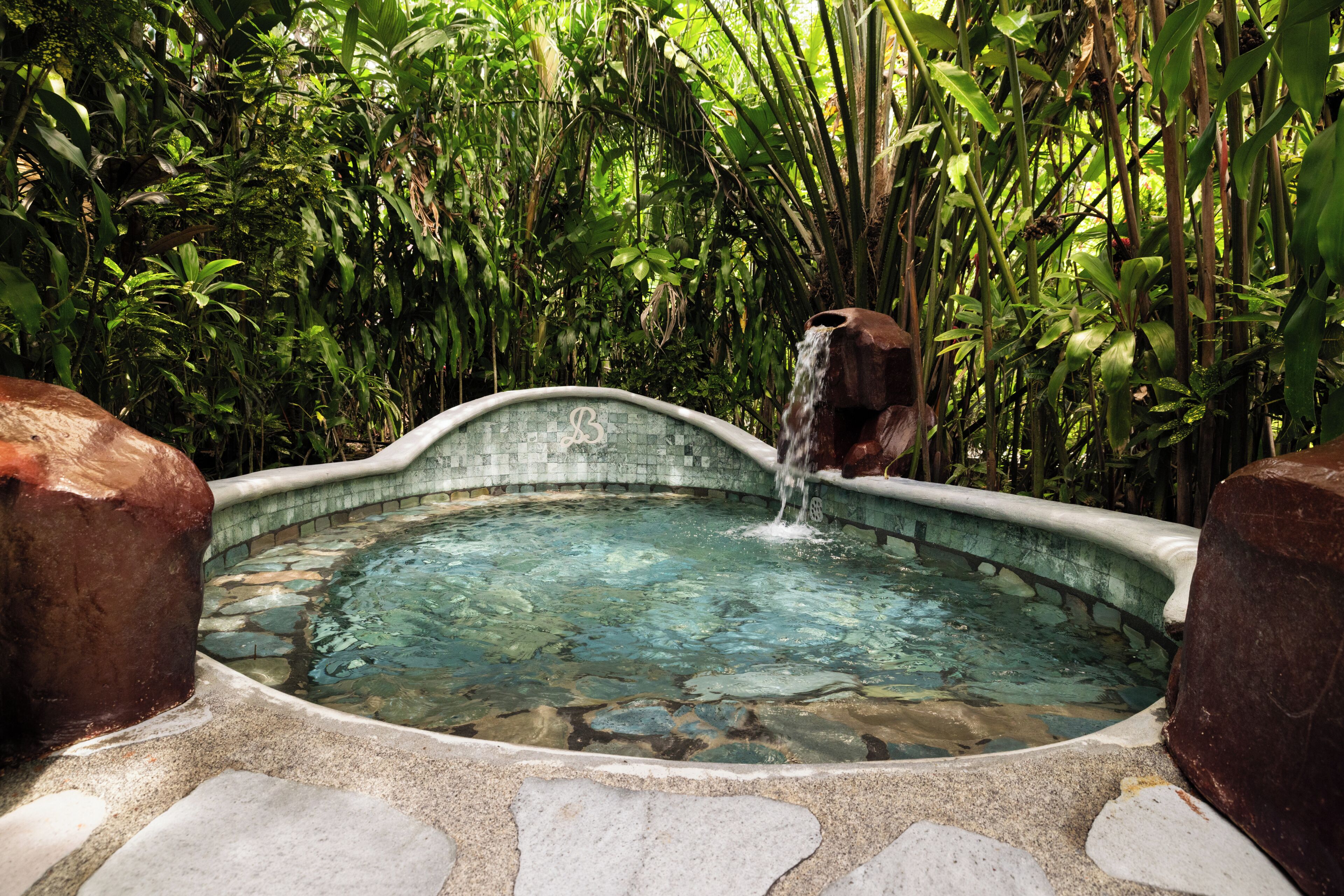 Un jacuzzi rodeado de exuberante vegetación.