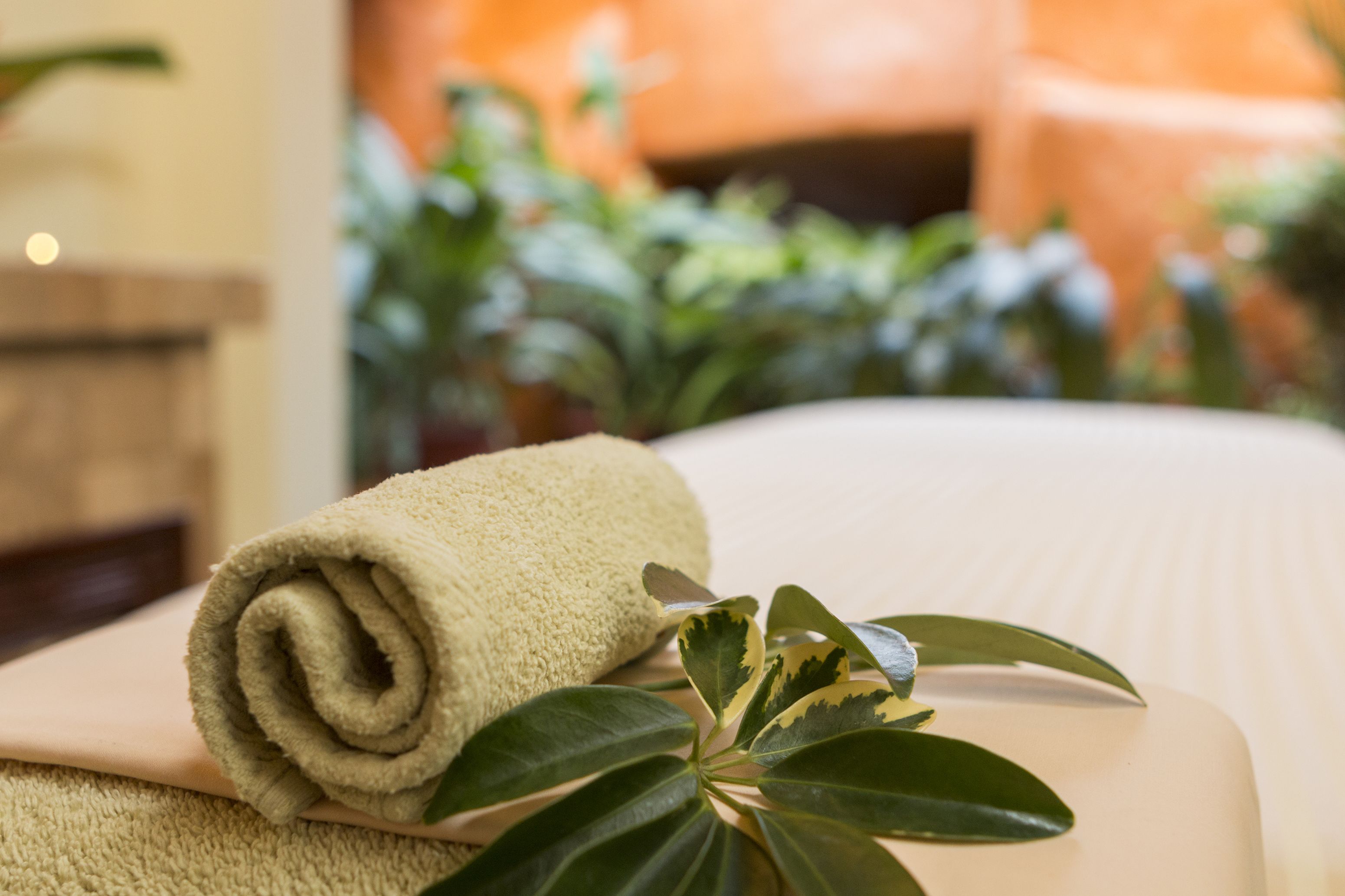 A neatly made bed with a rolled towel and a plant beside it.