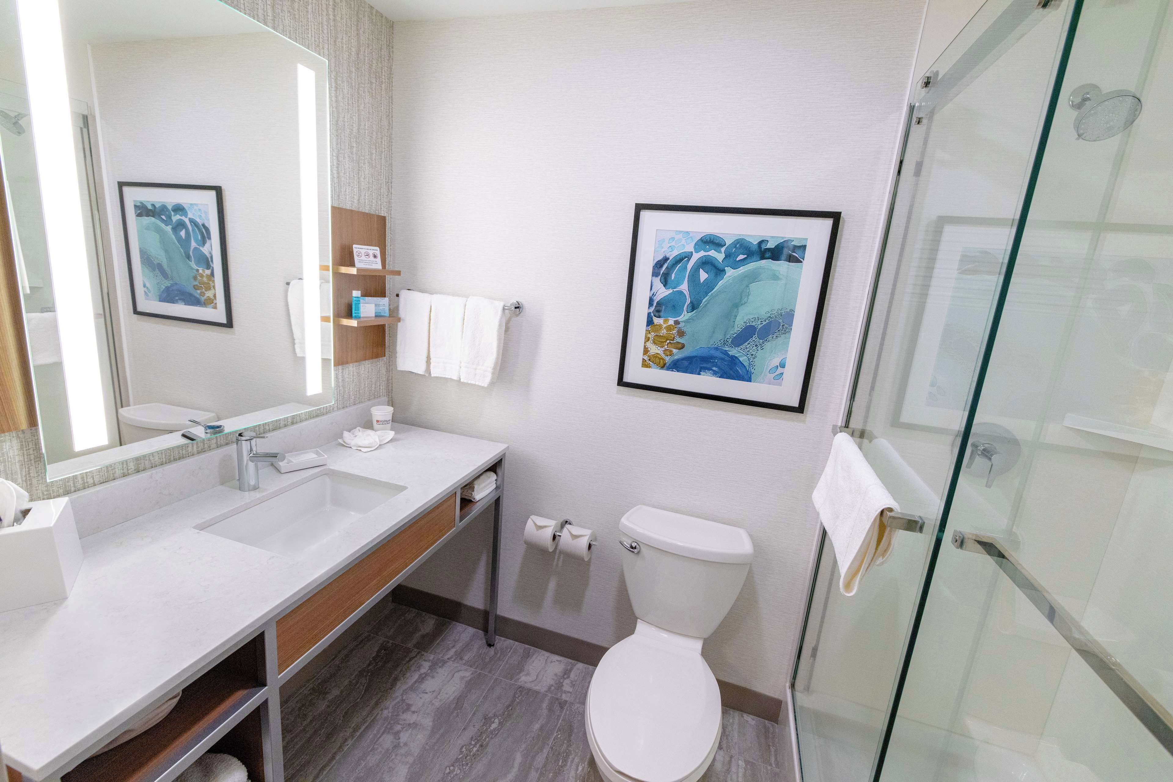 A modern bathroom with a large mirror, two sinks, a toilet, and a glass shower enclosure.