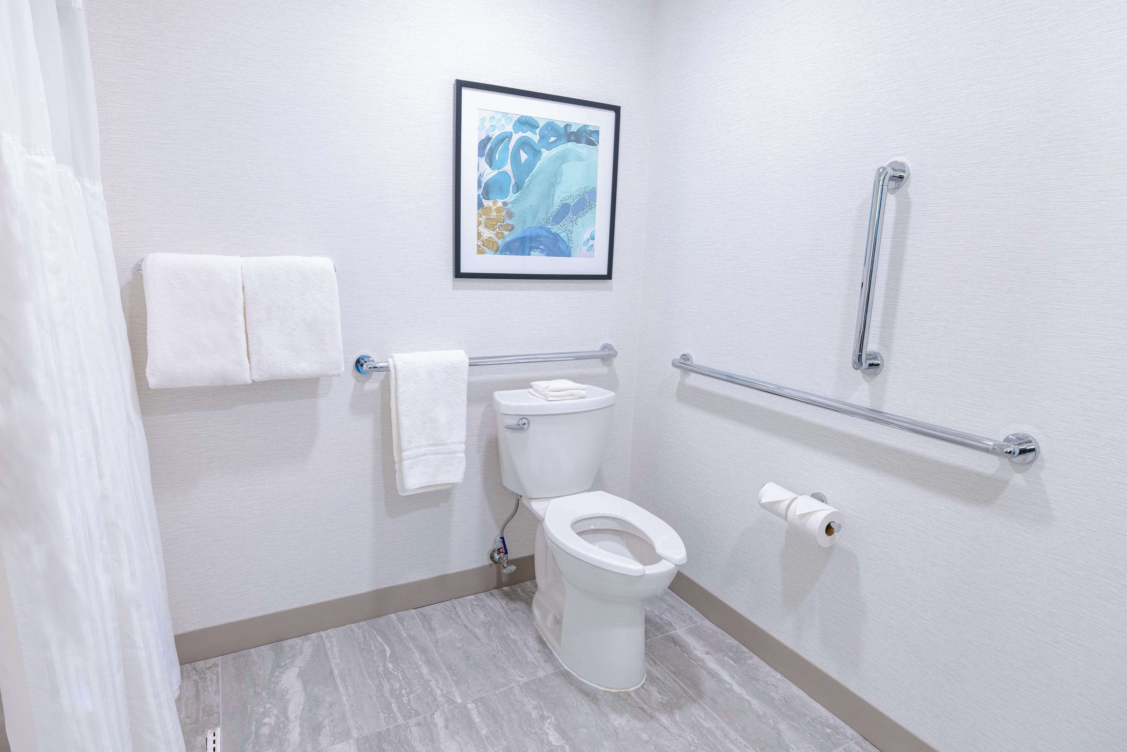 A bathroom with a toilet, a handrail, a framed artwork, and a towel rack.