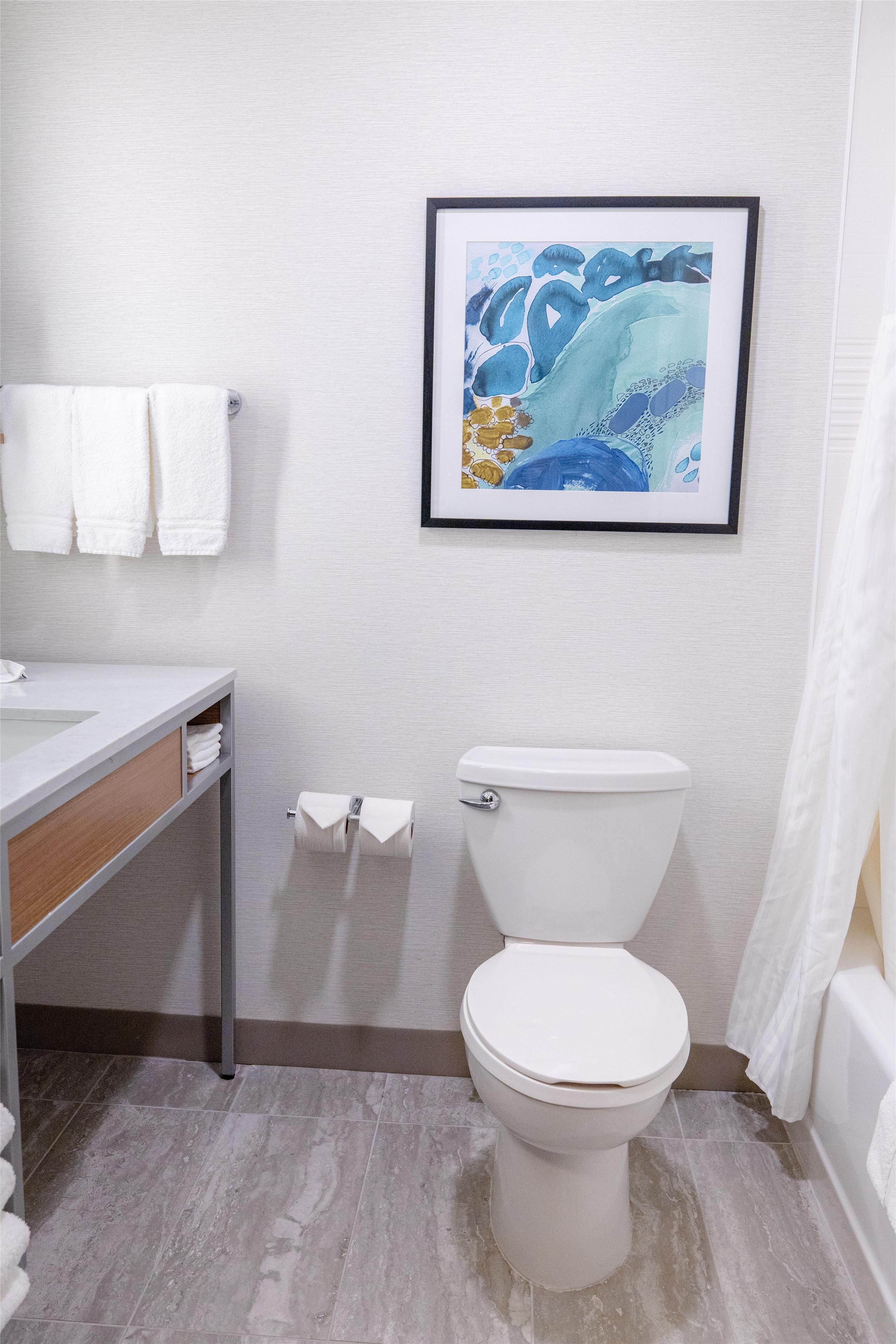 A bathroom with a white toilet, a sink with a mirror, and a framed artwork on the wall.