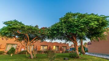 A courtyard with a large tree, a well-maintained lawn, and a building with a unique architectural style.