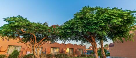 A courtyard with a large tree, a well-maintained lawn, and a building with a unique architectural style.