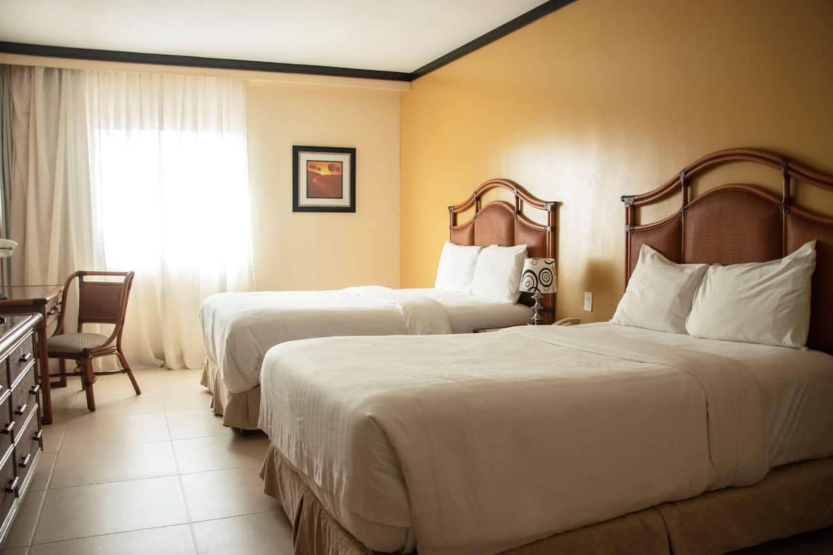 1 chambre, literie de qualité supérieure, couette en duvet d'oie