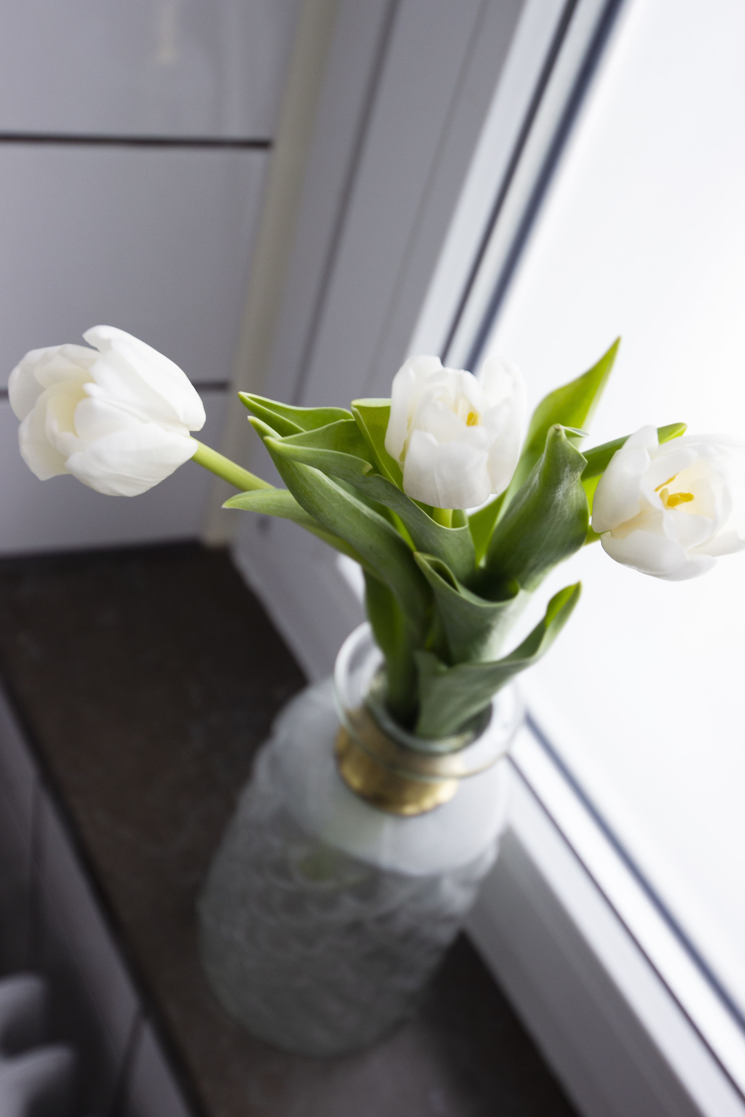 Un vase rempli de tulipes blanches, posé sur un rebord de fenêtre.