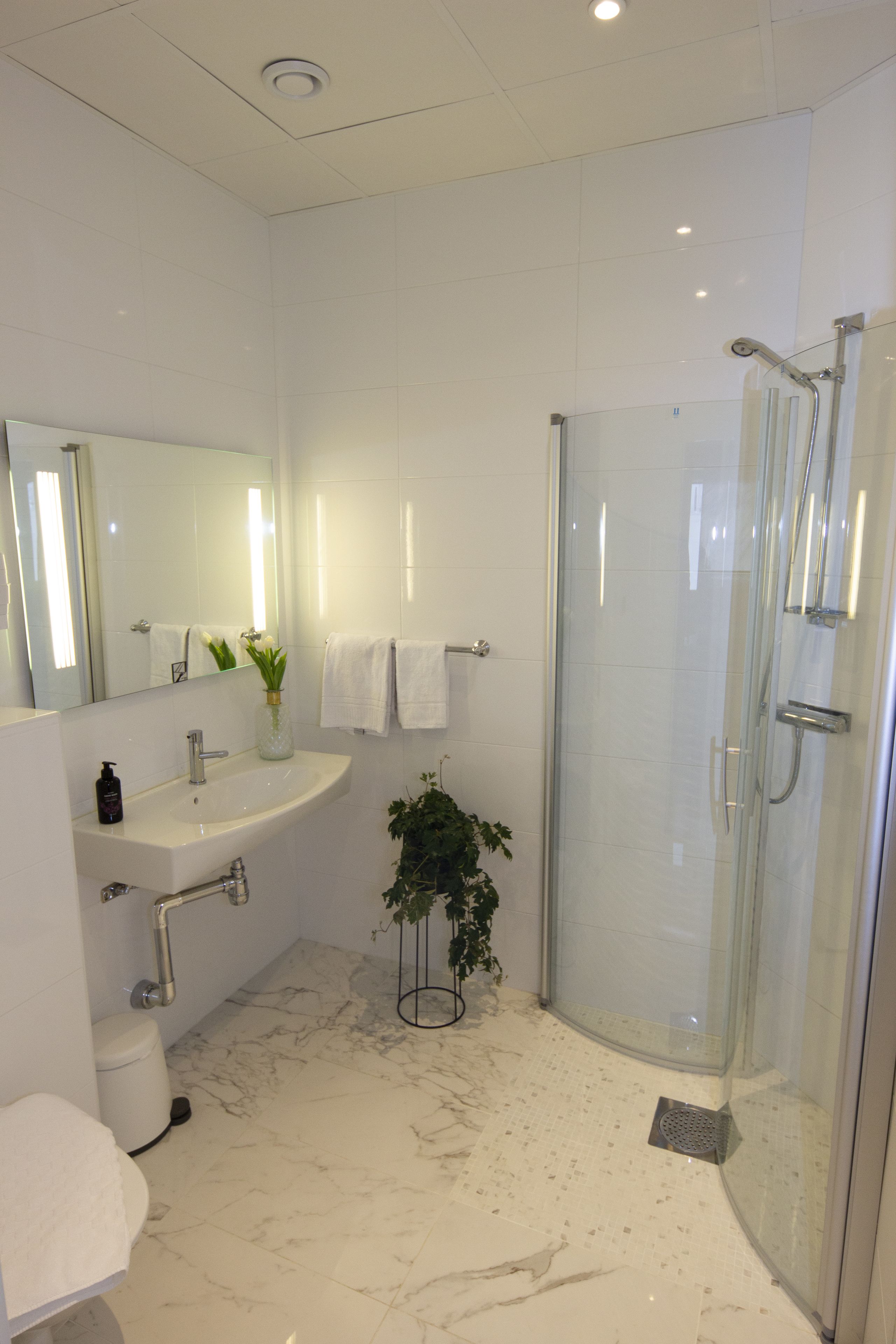 Une salle de bain moderne avec une douche en verre, un lavabo avec un miroir et une plante en pot.