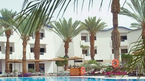 Zona de piscina hotelera con palmeras, sillones de descanso y una piscina azul cristalina.