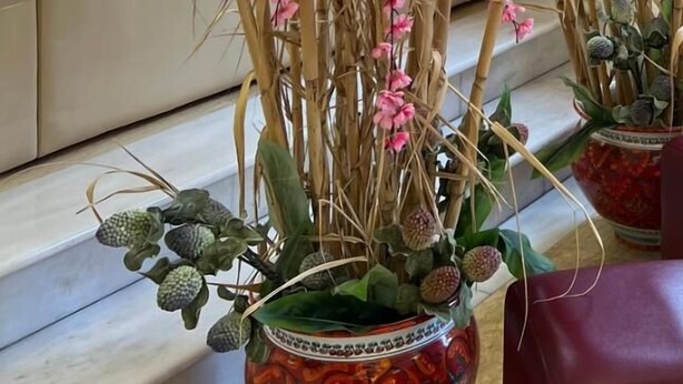 Una sala de estar con un sofá, un arreglo decorativo de plantas y una pared roja.