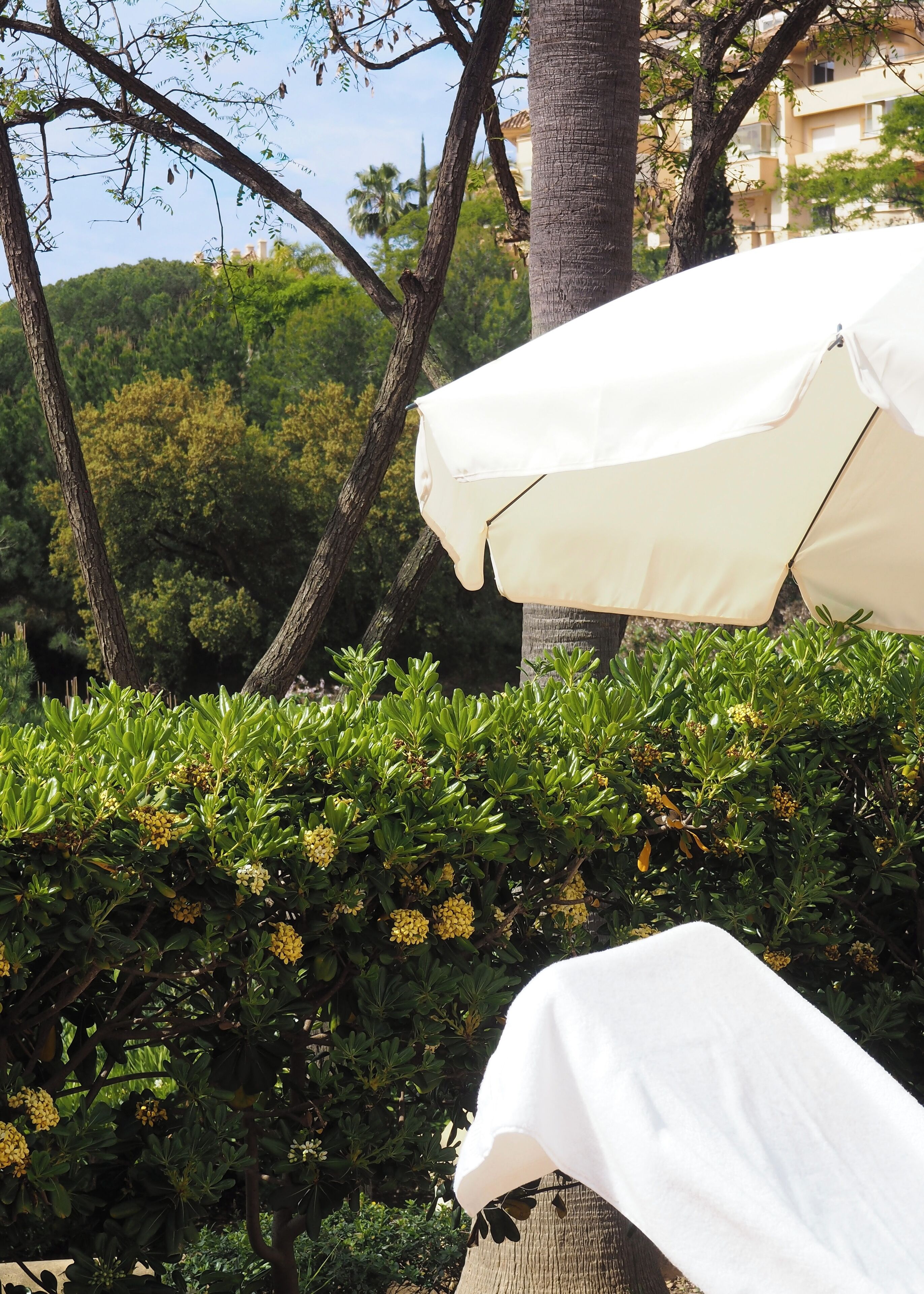 Foto - Elviria Hills Living