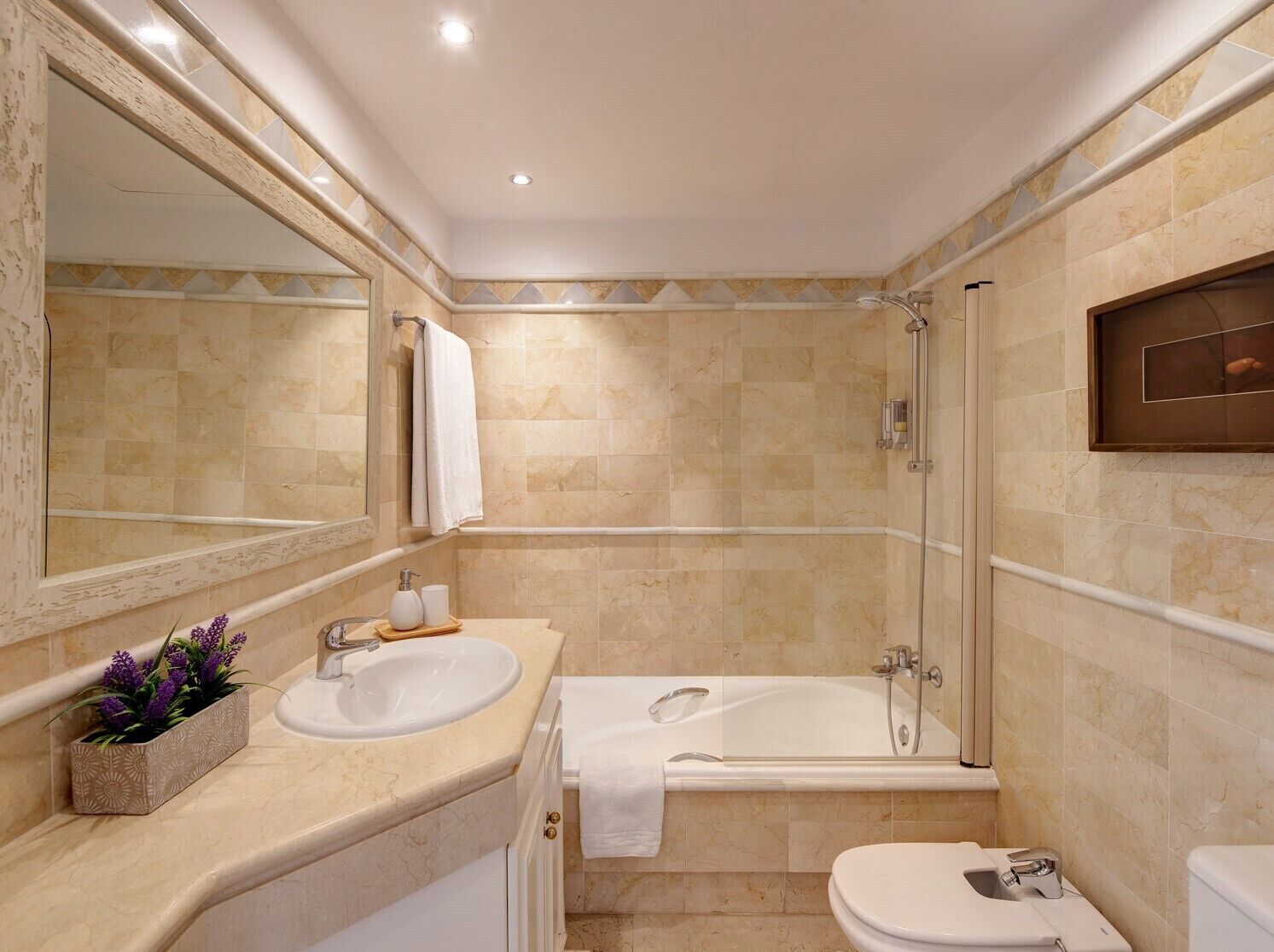 combined shower/bathtub, hair dryer, bidet, towels