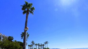 A coastal walkway with palm trees, a beach in the background, and a clear blue sky. - Apartamentos Pins Marina Cambrils (Cambrils)