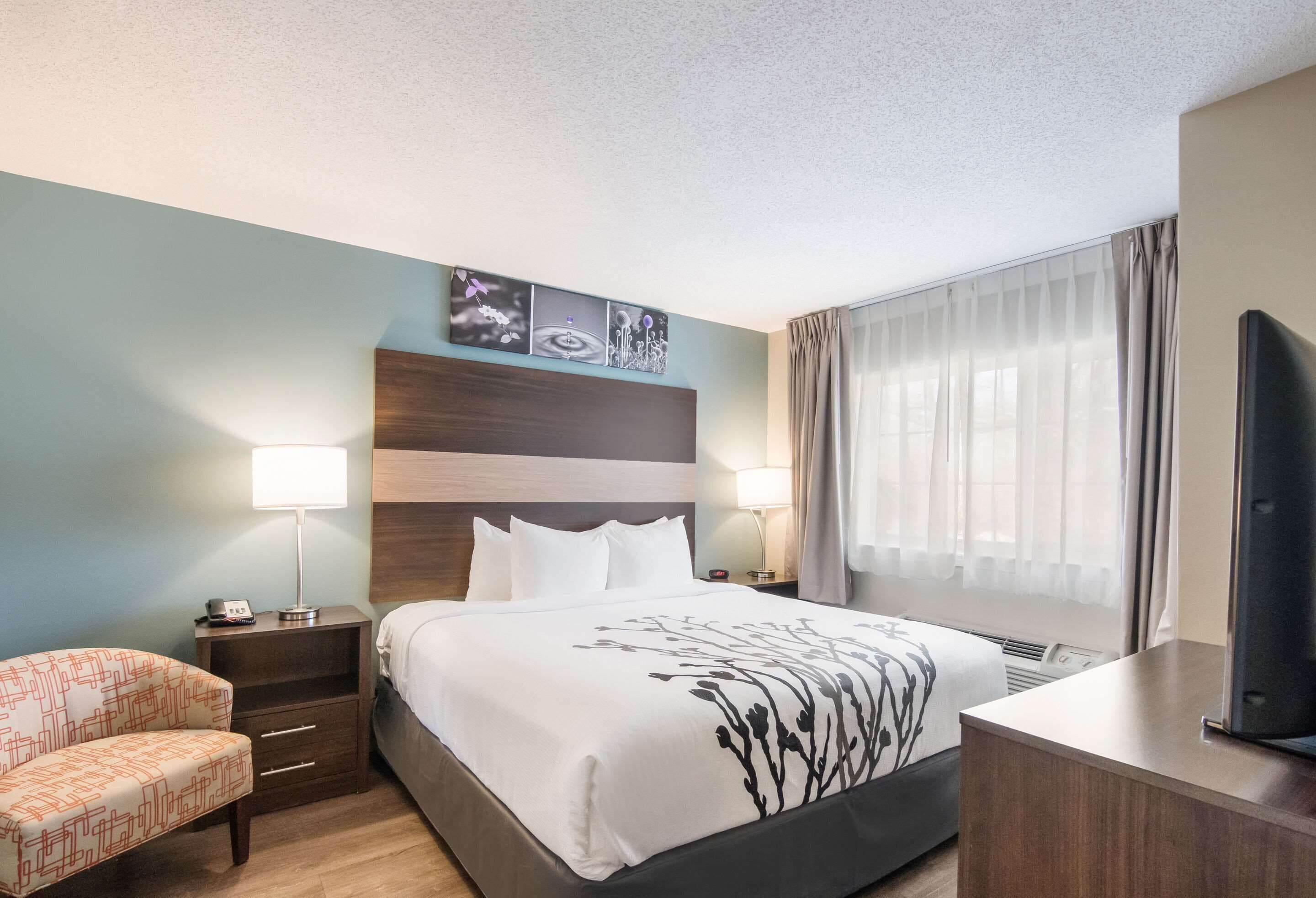 desk, blackout curtains, iron/ironing board, free wifi