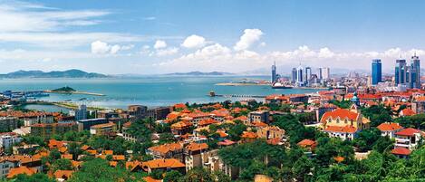 A coastal cityscape with dense urban buildings, a harbor with boats, and a clear blue sky.