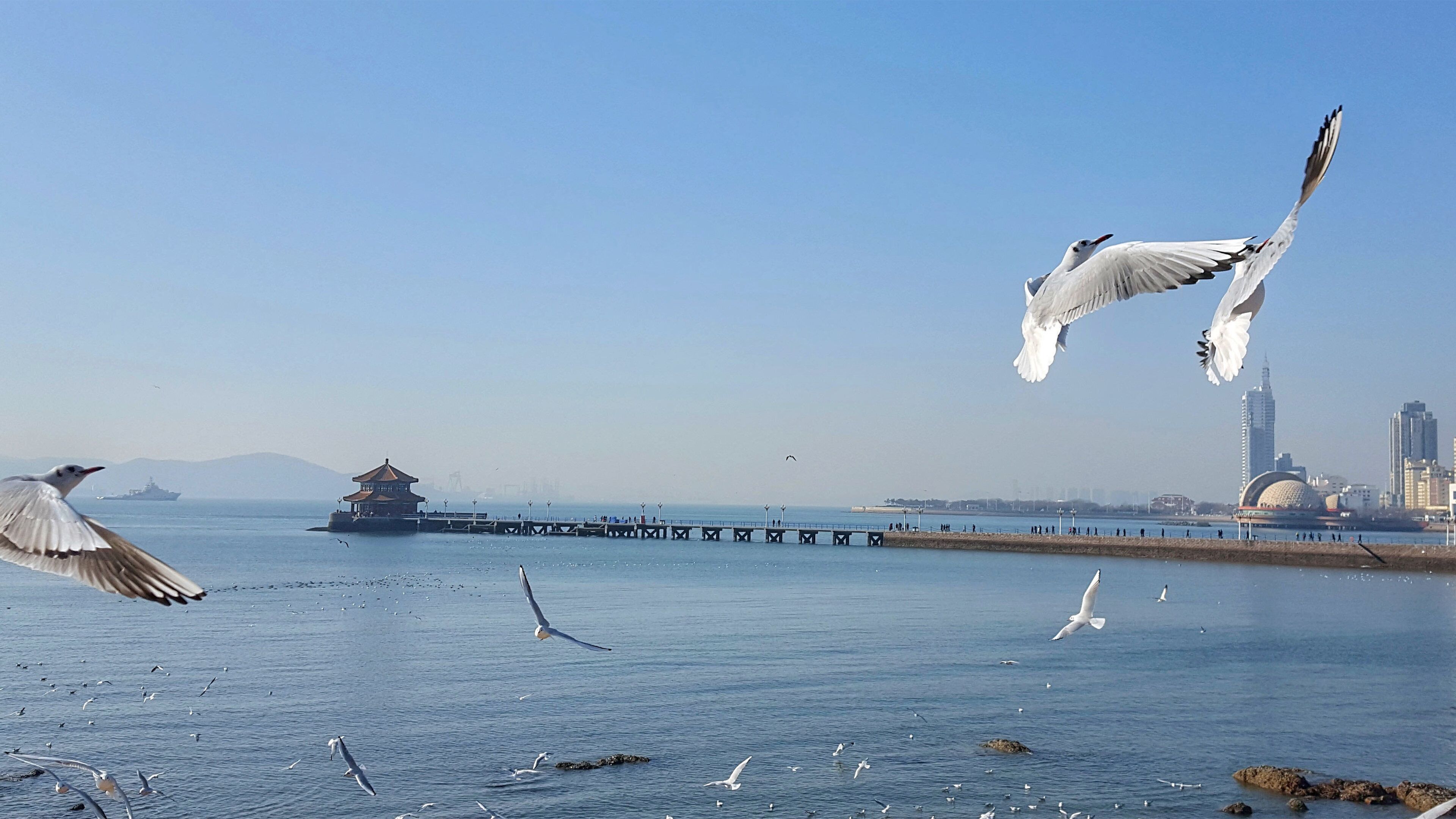 A waterfront scene with a pier extending into the water, a small pavilion, and a distant city skyline.