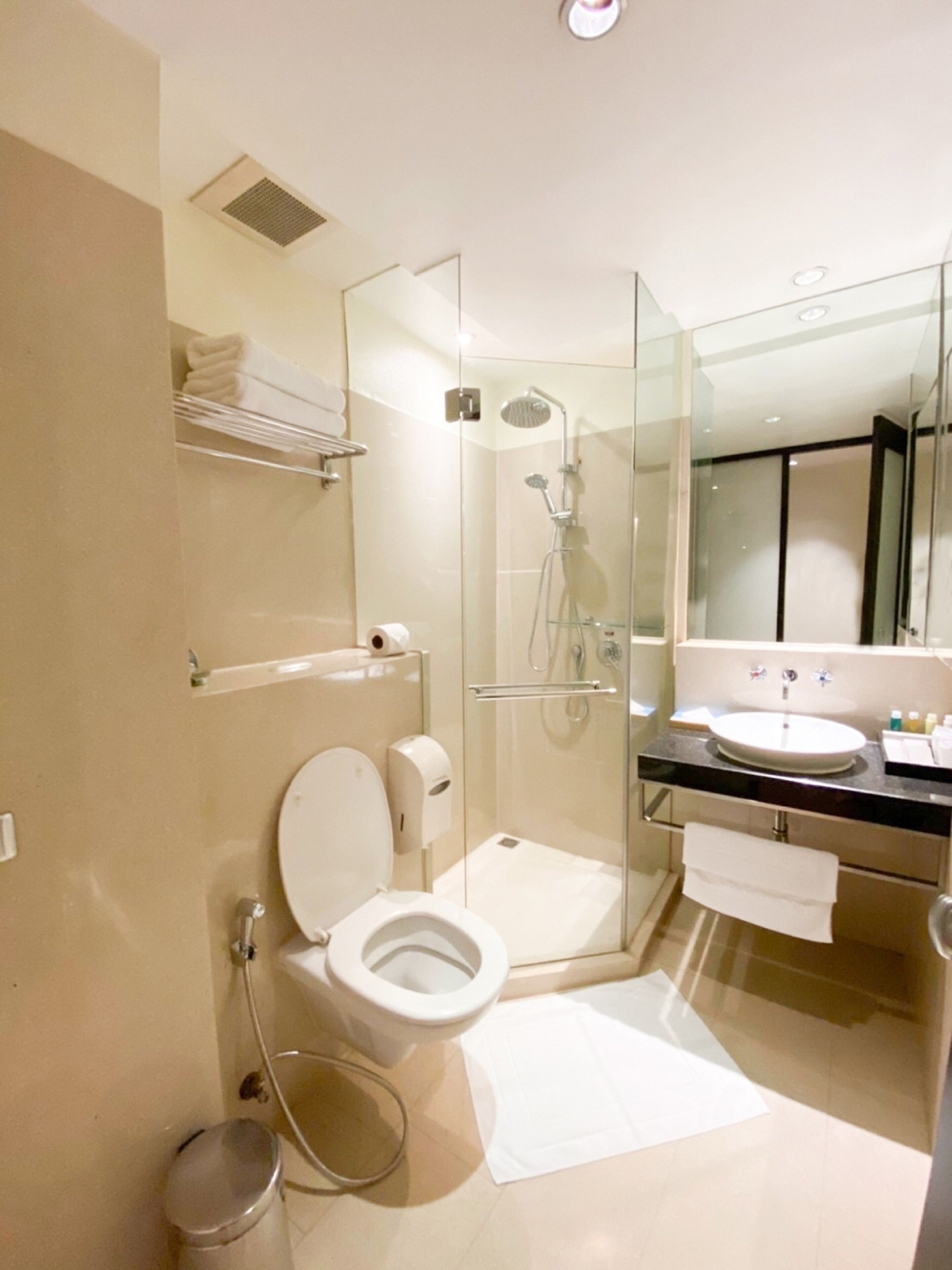 A modern bathroom with a glass-enclosed shower, a toilet, and a sink with a mirror above.