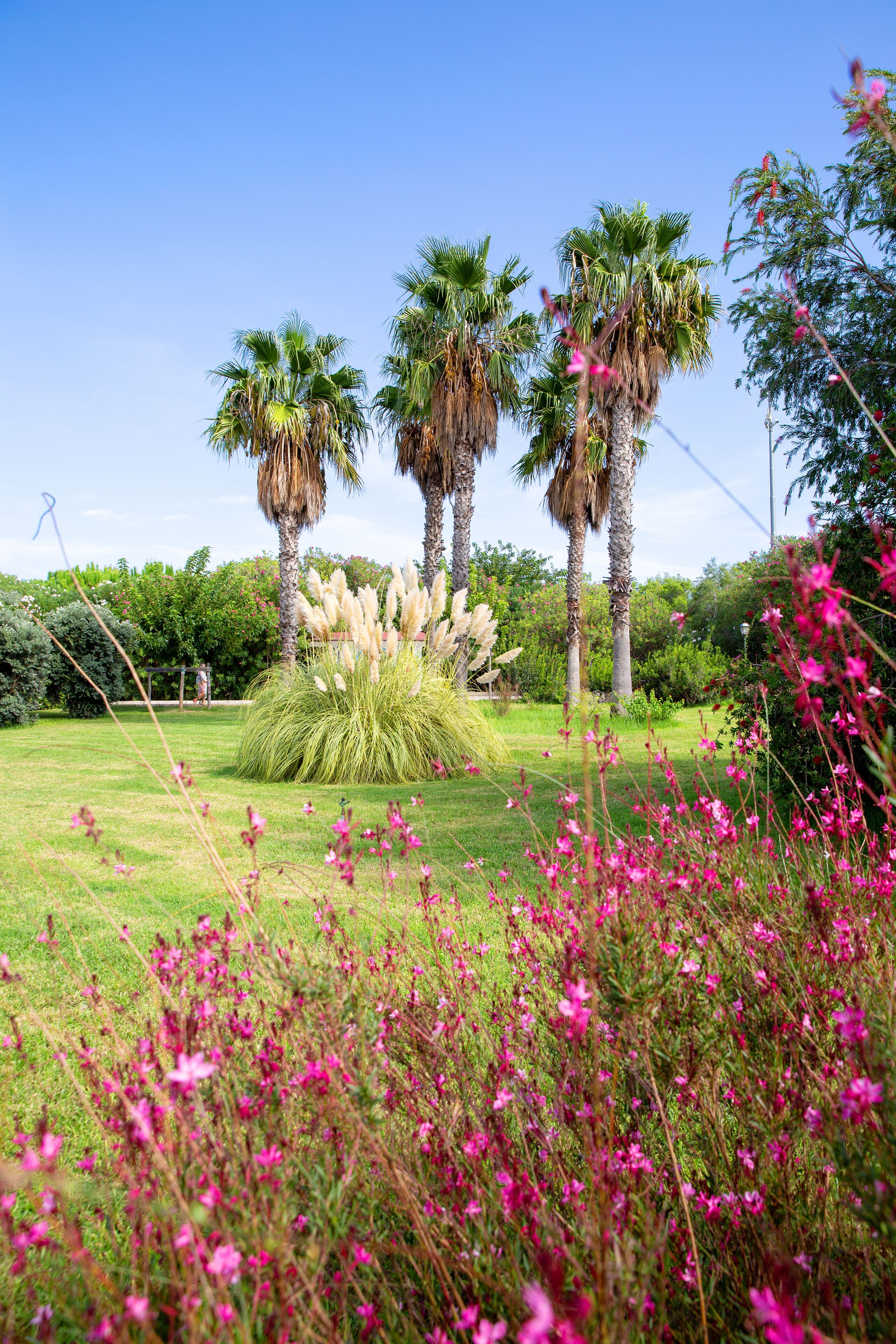 A garden with palm trees, flowering plants, and a well-maintained lawn.