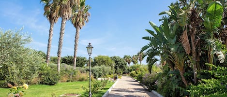 Un sendero pavimentado bordeado por abundante vegetación y altas palmeras.
