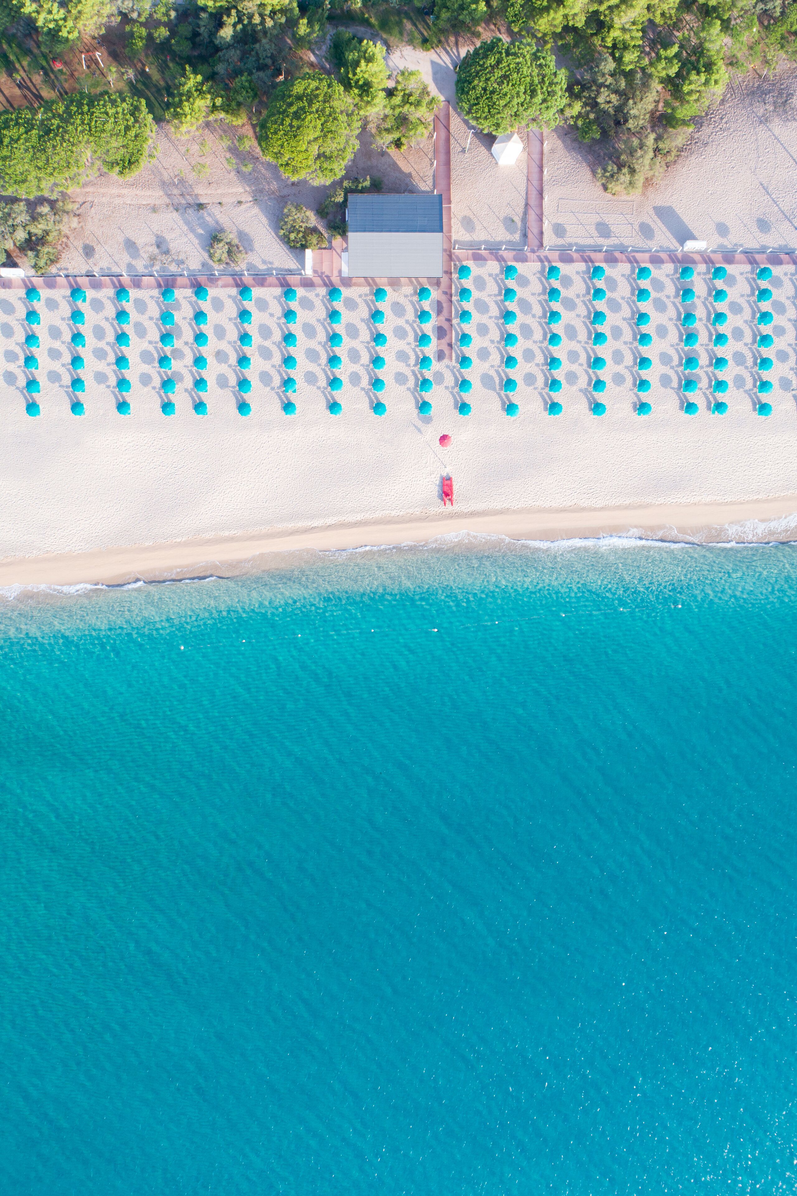 Plage à proximité, chaises longues, parasols, plongée sous-marine