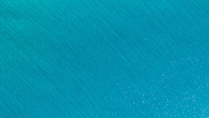 An aerial view of a beach with rows of blue umbrellas and a few people. - Club Hotel Marina Beach (Orosei)