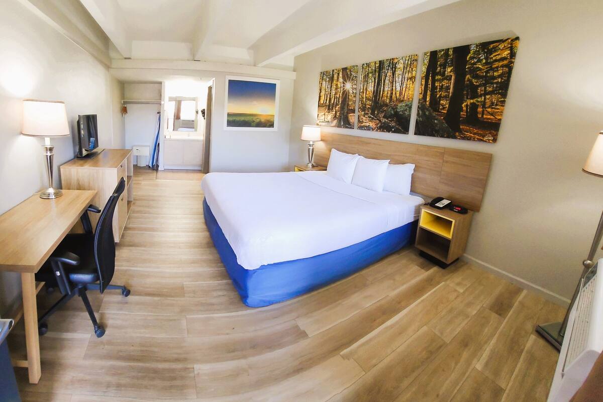A hotel room with a large bed, a desk with a chair, a TV, and a painting of a forest on the wall.