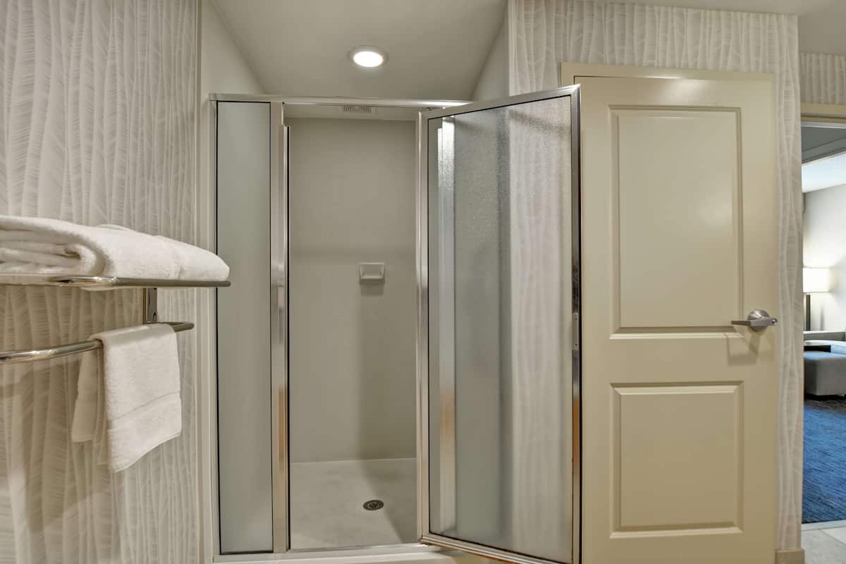 combined shower/bathtub, hair dryer, towels, soap