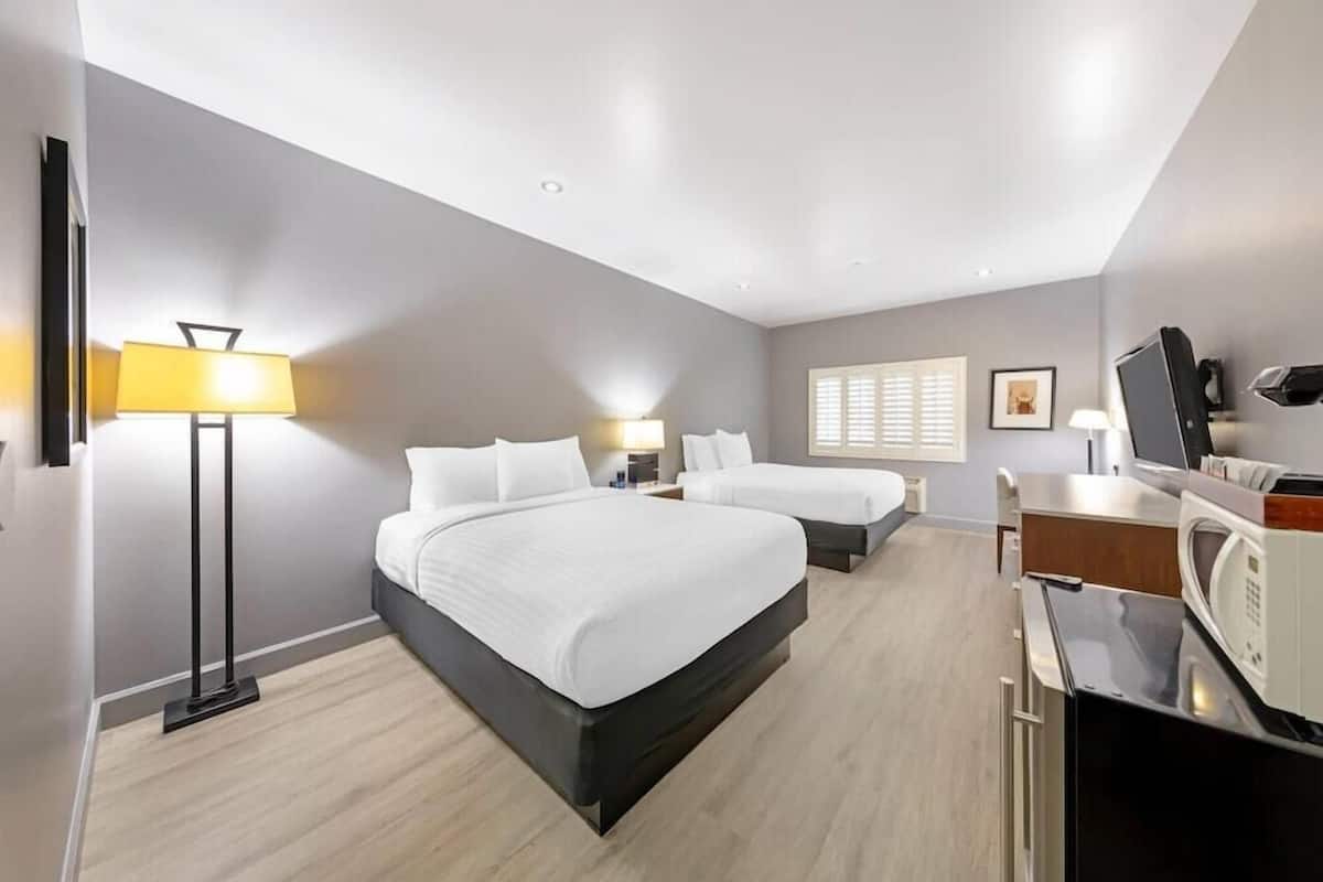 Een hotelkamer met twee bedden, een bureau, een magnetron en een televisie.