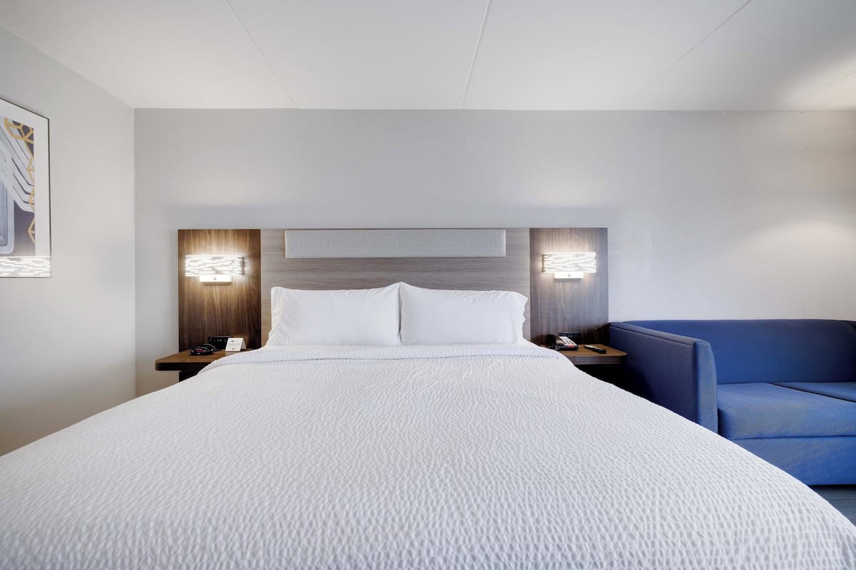Suite, 1 King Bed with Sofa bed