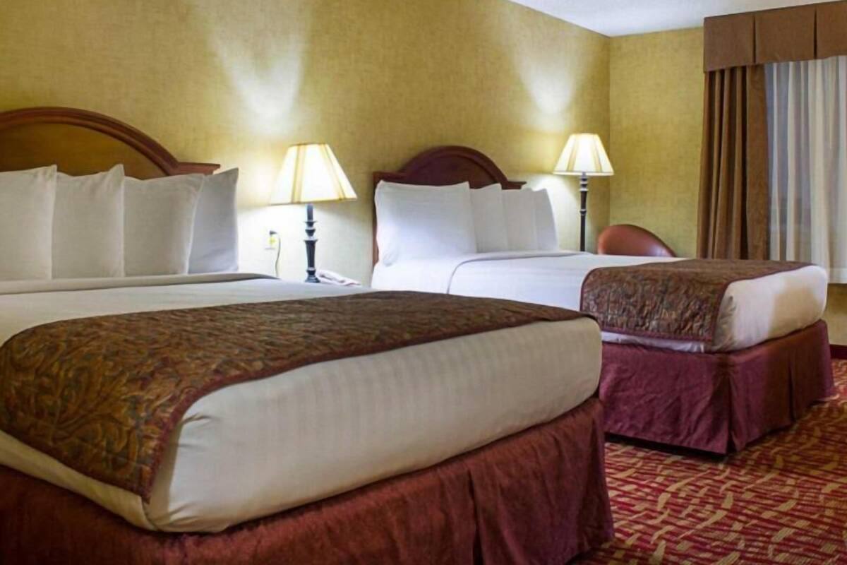 A hotel room with two beds, a wooden headboard, a red carpet, and a window with curtains.