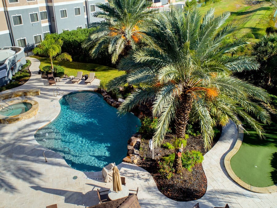 Outdoor pool, sun loungers