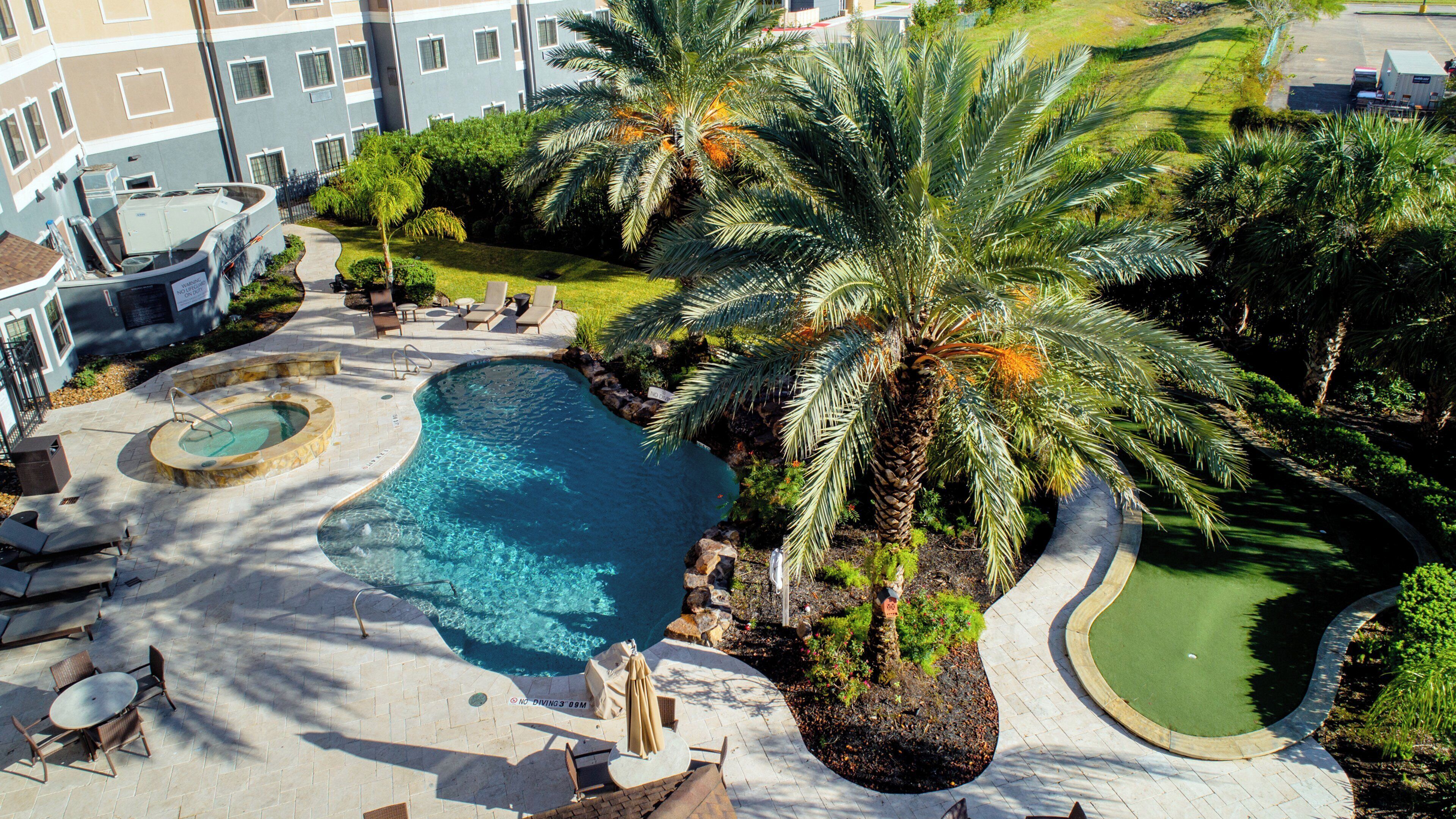 A swimming pool surrounded by palm trees and lounge chairs, with a building in the background.