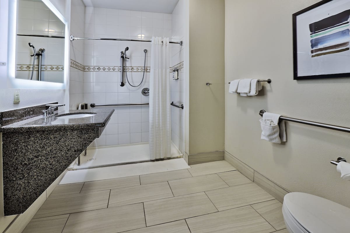Suite monolocale, 1 letto queen, accessibile ai disabili, cucina (Mobility Accessible) | Una scrivania, postazione laptop, tende oscuranti, insonorizzazione