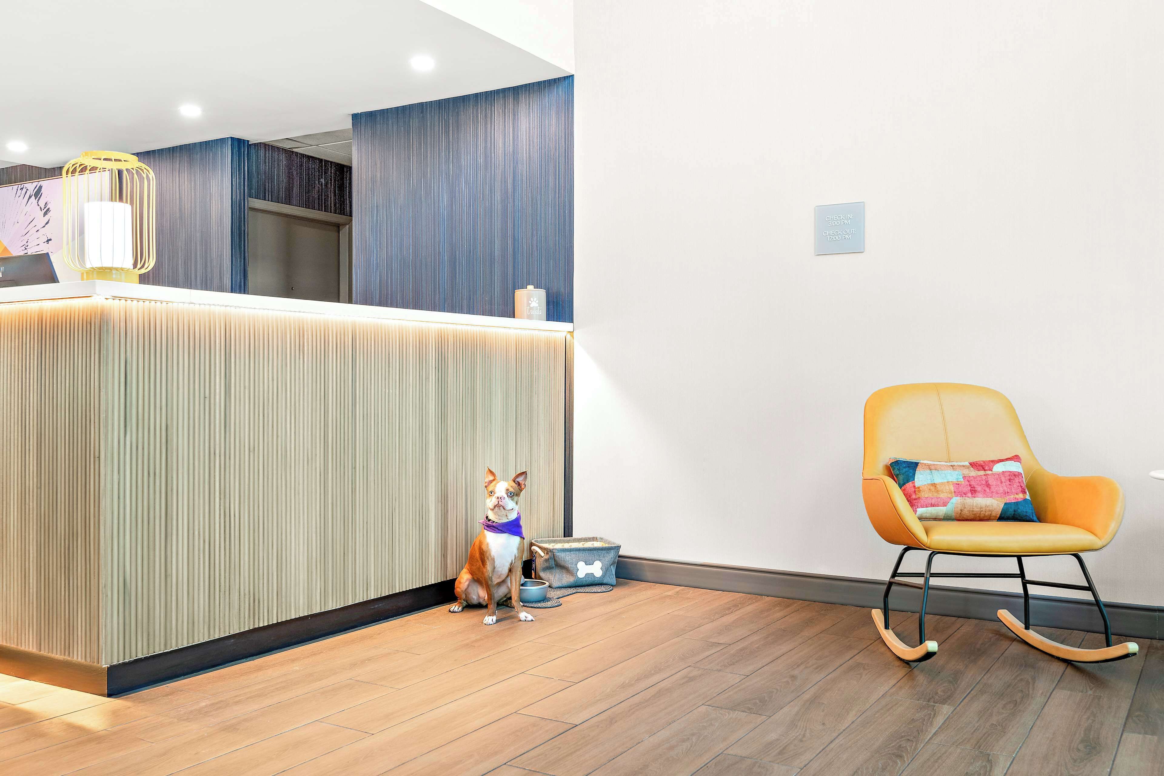 Un espace d’accueil avec un plancher en bois, un chien assis près de son panier et un fauteuil à bascule.