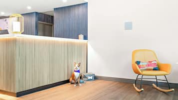 Un espace d’accueil avec un plancher en bois, un chien assis près de son panier et un fauteuil à bascule.