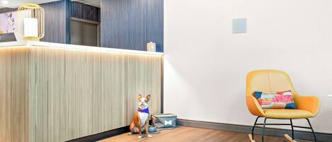 A reception area with a wooden floor, a dog sitting by a dog bed, and a rocking chair.