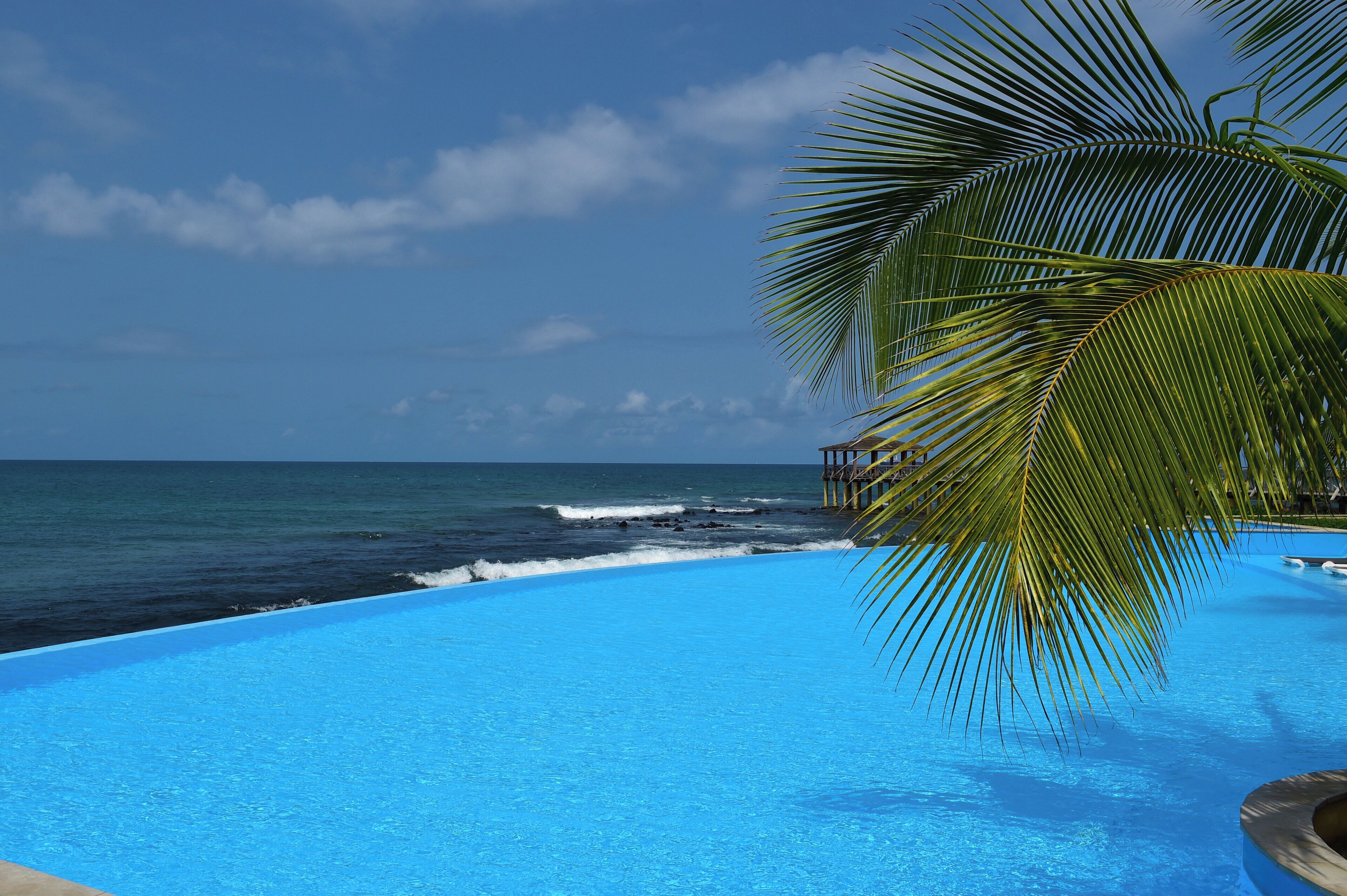 Ein klares, blaues Schwimmbecken mit Blick auf den Ozean und einer Palme.