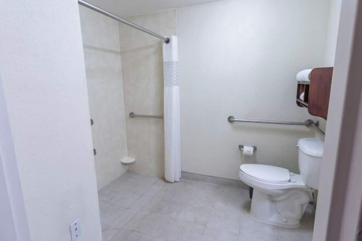 Bathroom | Combined shower/tub, rainfall showerhead, free toiletries, hair dryer