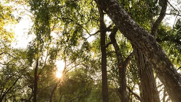 Breakfast, lunch, dinner served; pool views