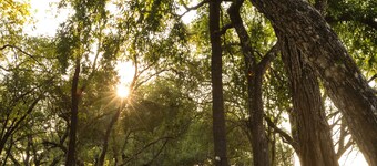 A'Zambezi River Lodge