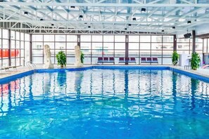 Una piscina interior con paredes de vidrio transparente, asientos a lo largo de los bordes y plantas en macetas.