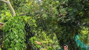 Stroll through the serene garden, surrounded by lush greenery and tranquil water features.