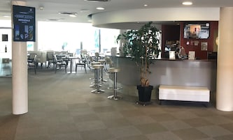Zona de recepción de un hotel con mostrador, taburetes de bar, una planta en maceta y un área de estar.