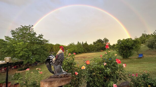 A garden with a rooster statue, a rainbow, and blooming roses. - Il Molino del Ponte (Montespertoli)