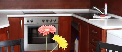 Geladeira, micro-ondas, lava-louças, cafeteira/chaleira