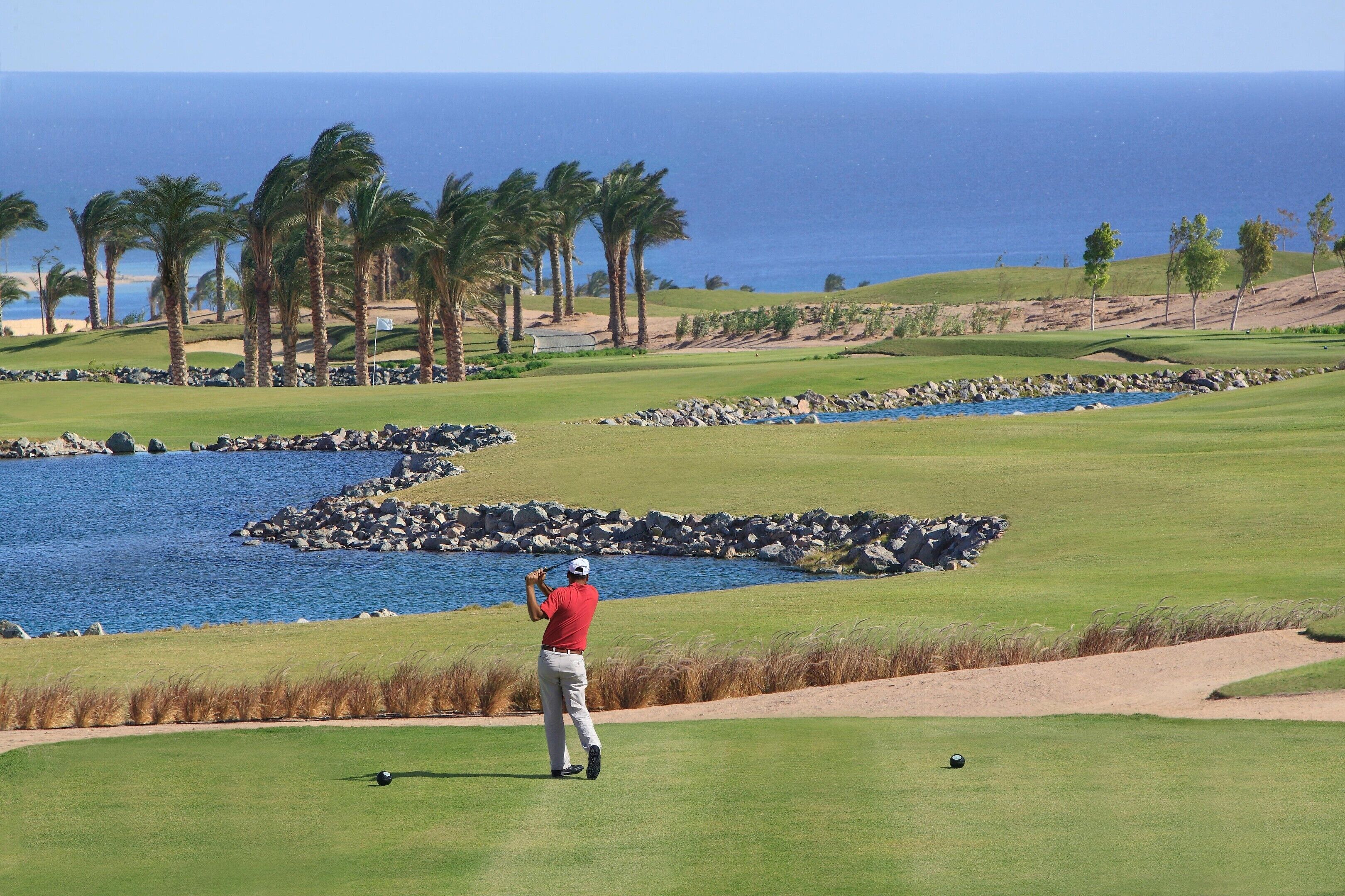 Un parcours de golf avec un obstacle d’eau, des palmiers et une vue sur l’océan.