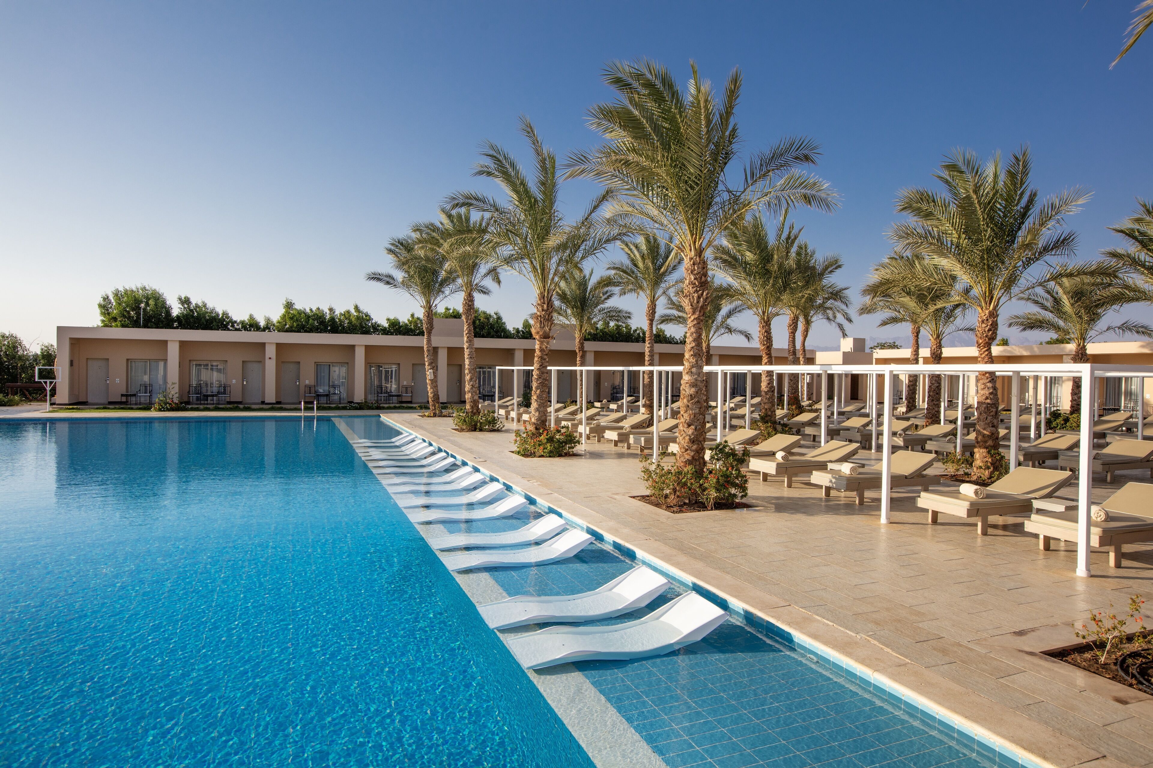 Outdoor pool, open 7 AM to 6:00 PM, pool umbrellas, pool loungers