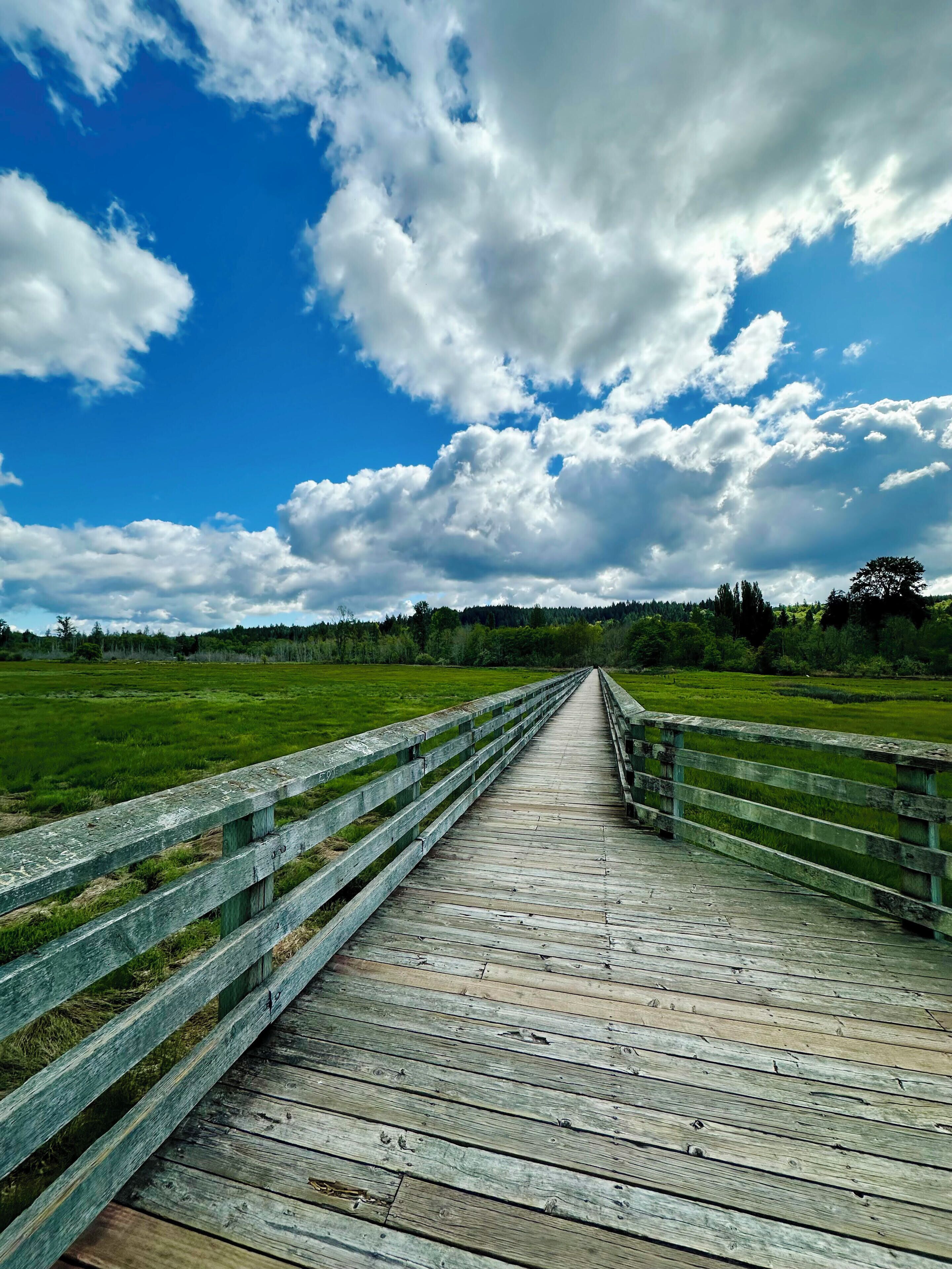 A wooden boardwalk extending into a grassy field under a partly cloudy sky.